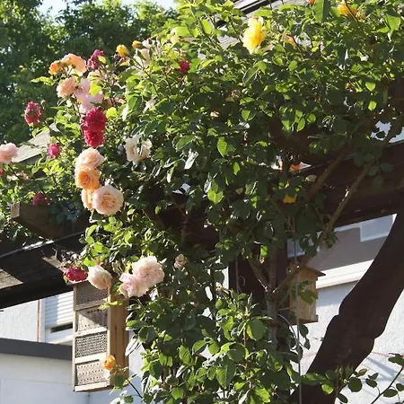 Weingut Gastehaus Rummel Vendégház