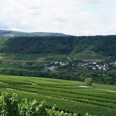 Vendégház Weingut Gastehaus Rummel Schleich
