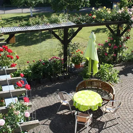 Weingut Gastehaus Rummel Vendégház 3*