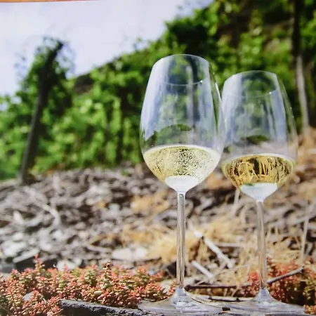 Weingut Gastehaus Rummel 3* Schleich